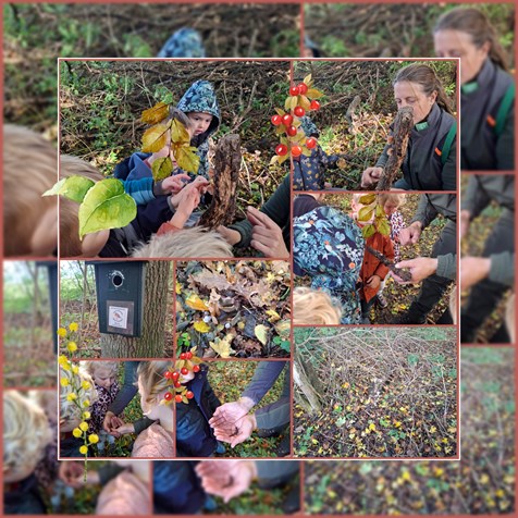 1000047263 1000047263