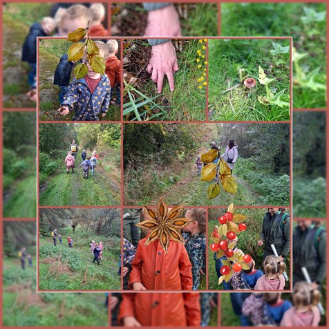 1000047266 1000047266