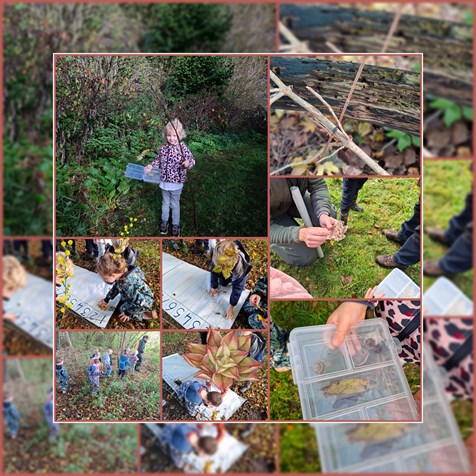 1000047265 1000047265