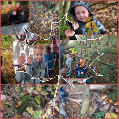 1000047264 1000047264