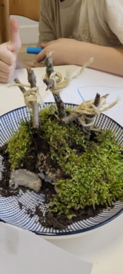 WhatsApp Image 2026-04-02 at 17.04.00 (1)